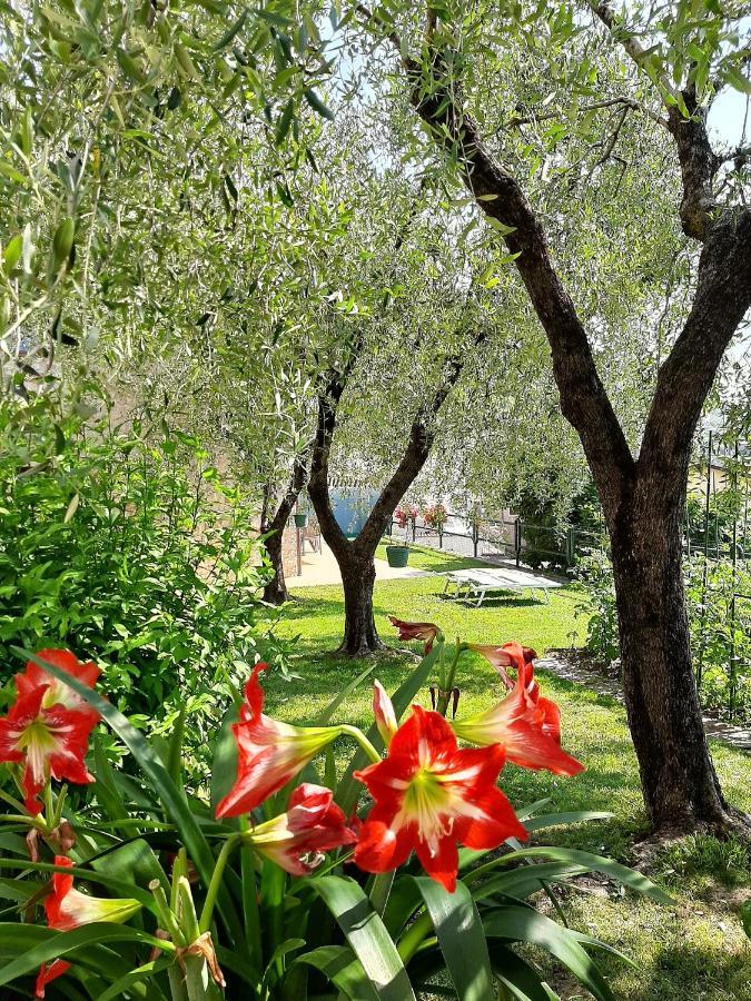 Apartment Maria Brenzone sul Garda Kültér fotó