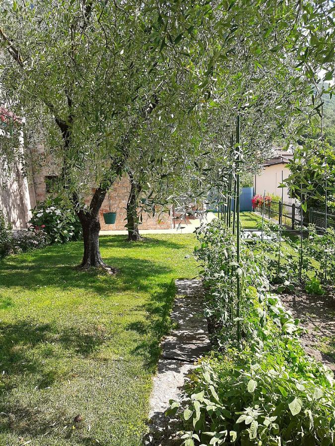 Apartment Maria Brenzone sul Garda Kültér fotó